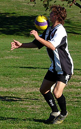 gareth